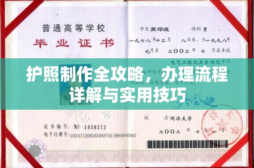 浦东护照制作全攻略，办理流程详解与实用技巧