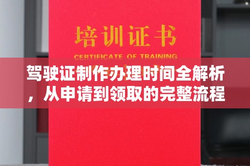浦东驾驶证制作办理时间全解析，从申请到领取的完整流程