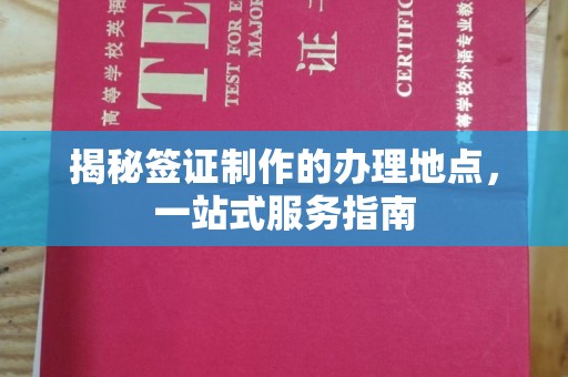 浦东揭秘签证制作的办理地点，一站式服务指南
