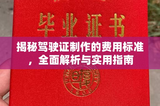浦东揭秘驾驶证制作的费用标准，全面解析与实用指南