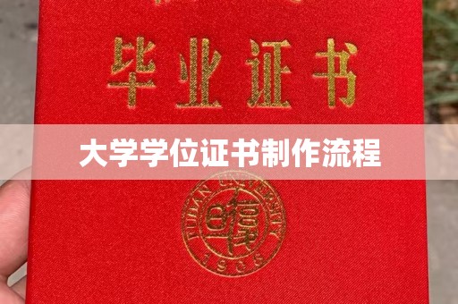 浦东大学学位证书制作流程