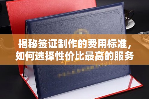 浦东揭秘签证制作的费用标准，如何选择性价比最高的服务？