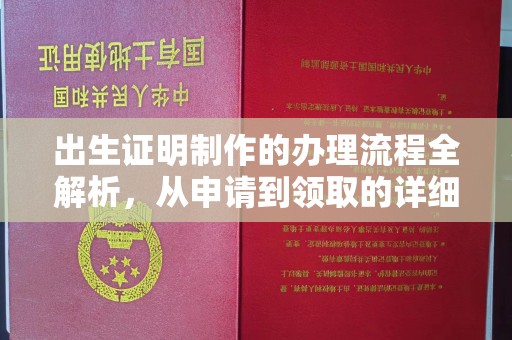 浦东出生证明制作的办理流程全解析，从申请到领取的详细指南
