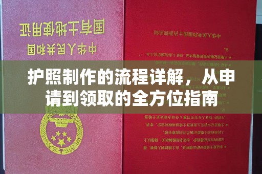 浦东护照制作的流程详解，从申请到领取的全方位指南